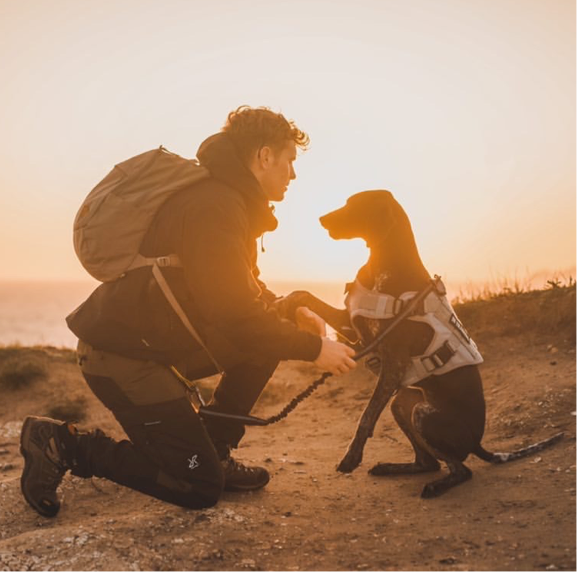 Get to know the German Shorthaired Pointer.