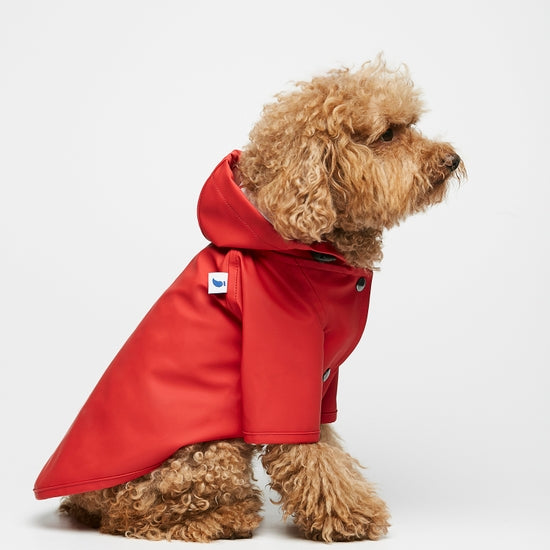 red raincoat for dogs made from recycled polyester