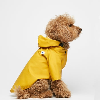 raincoat made from recycled polyester. Yellow raincoat worn by dog
