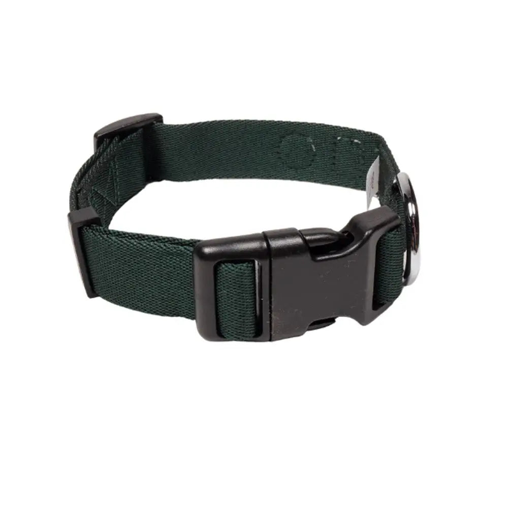 green dog collar