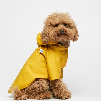 yellow raincoat for dogs. made from recycled polyester