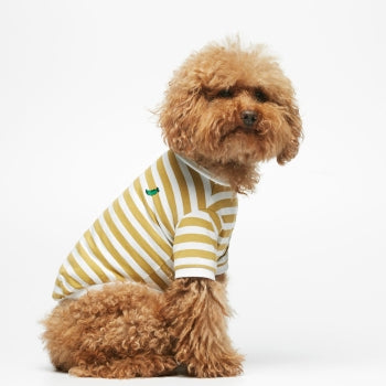 organic cotton doggy tshirt