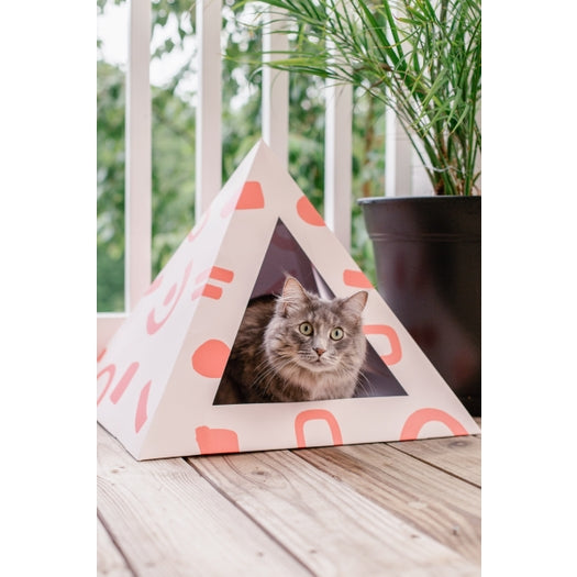 cardboard cat pyramid