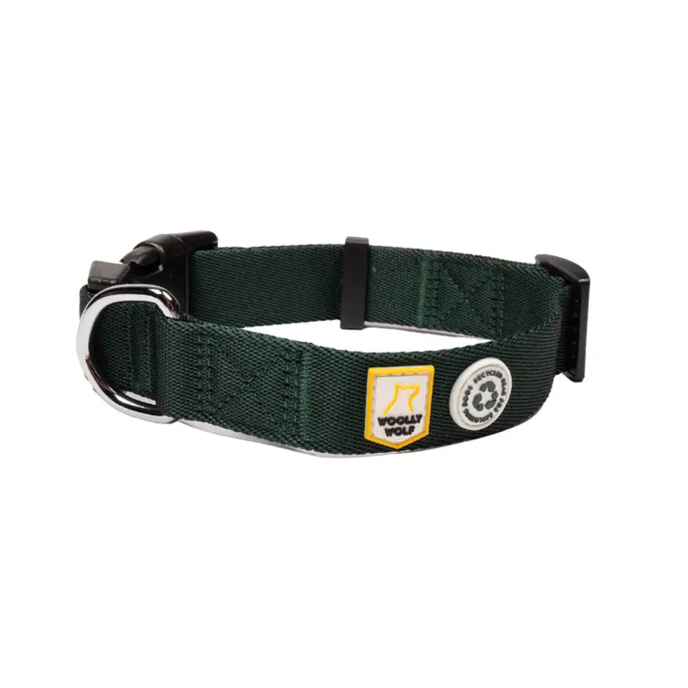 green recycled dog collar