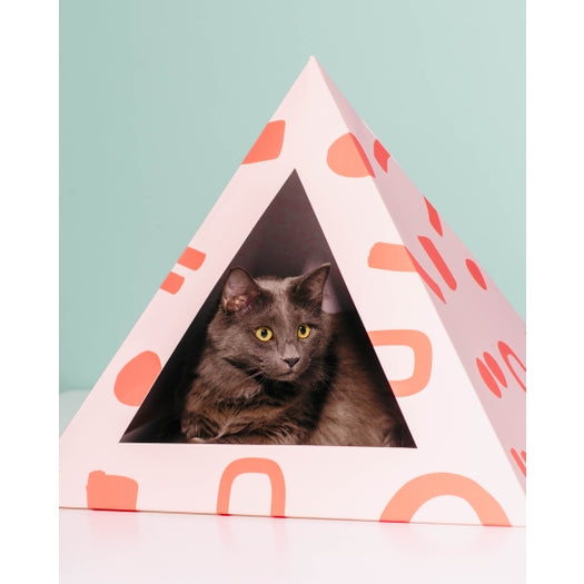 cardboard cat bed