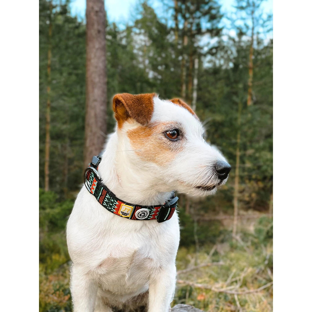 woodland dog collar