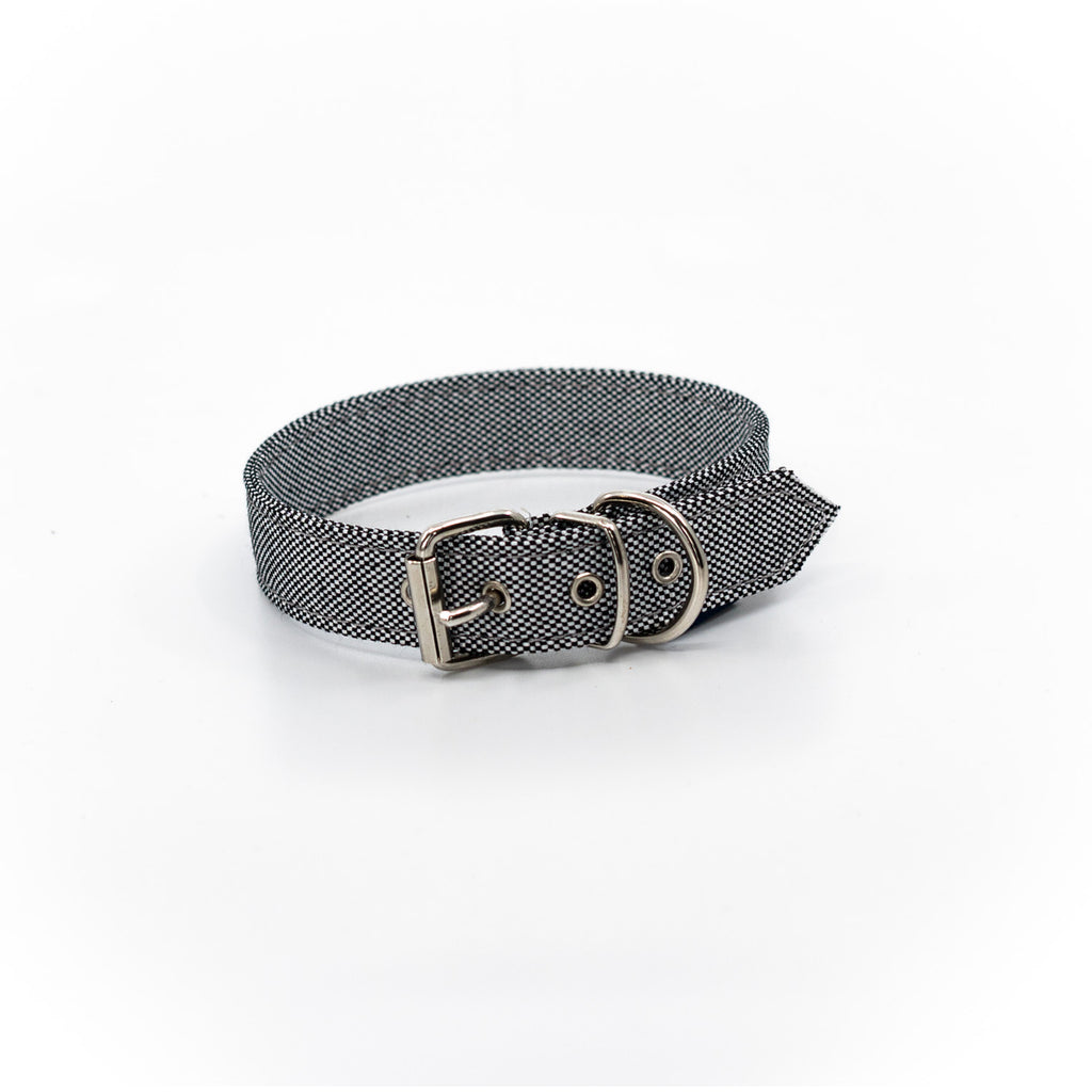 Project Blu, Eco Dog Collar, Adriatic Grey.