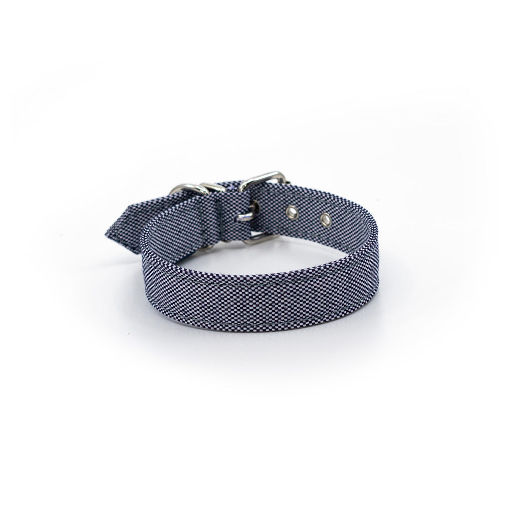 Project Blu, Eco Dog Collar, Bengal Blue.