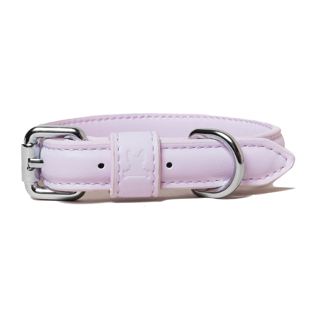 blush pink dog collar