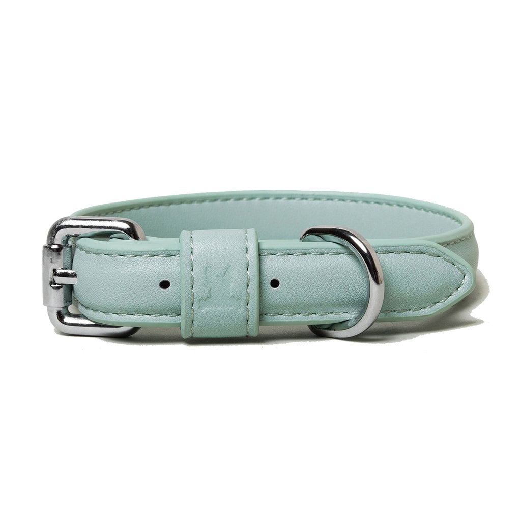 icy mint dog collar