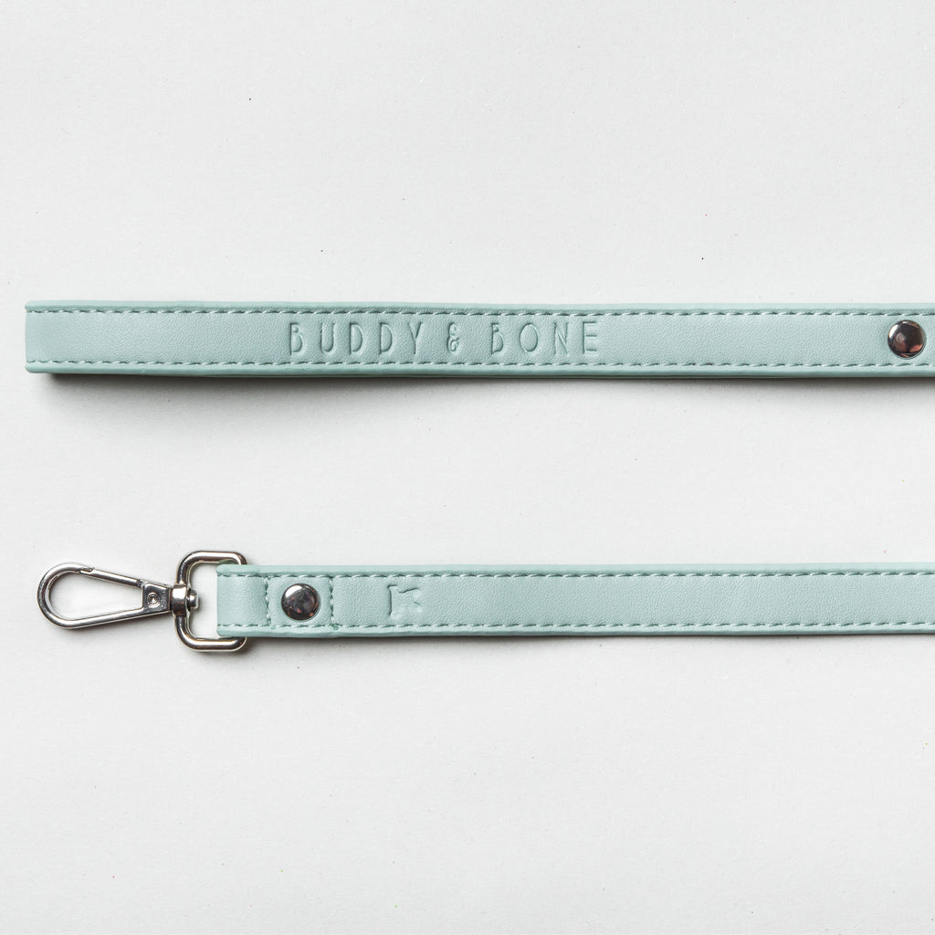 Icy Mint Vegan Dog Lead