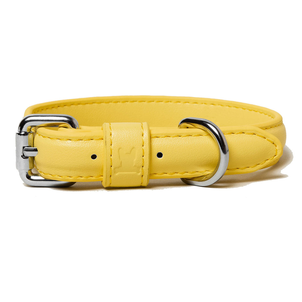 lemon blast dog collar