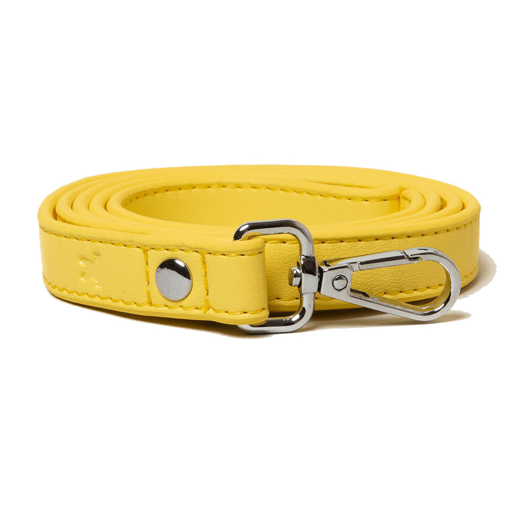 lemon blast dog lead