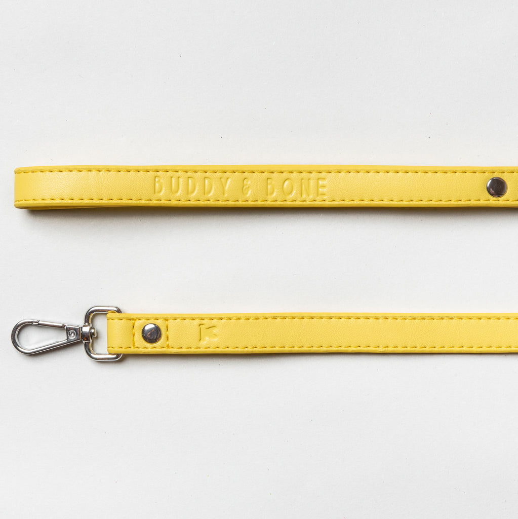 Lemon Blast Vegan Dog Lead