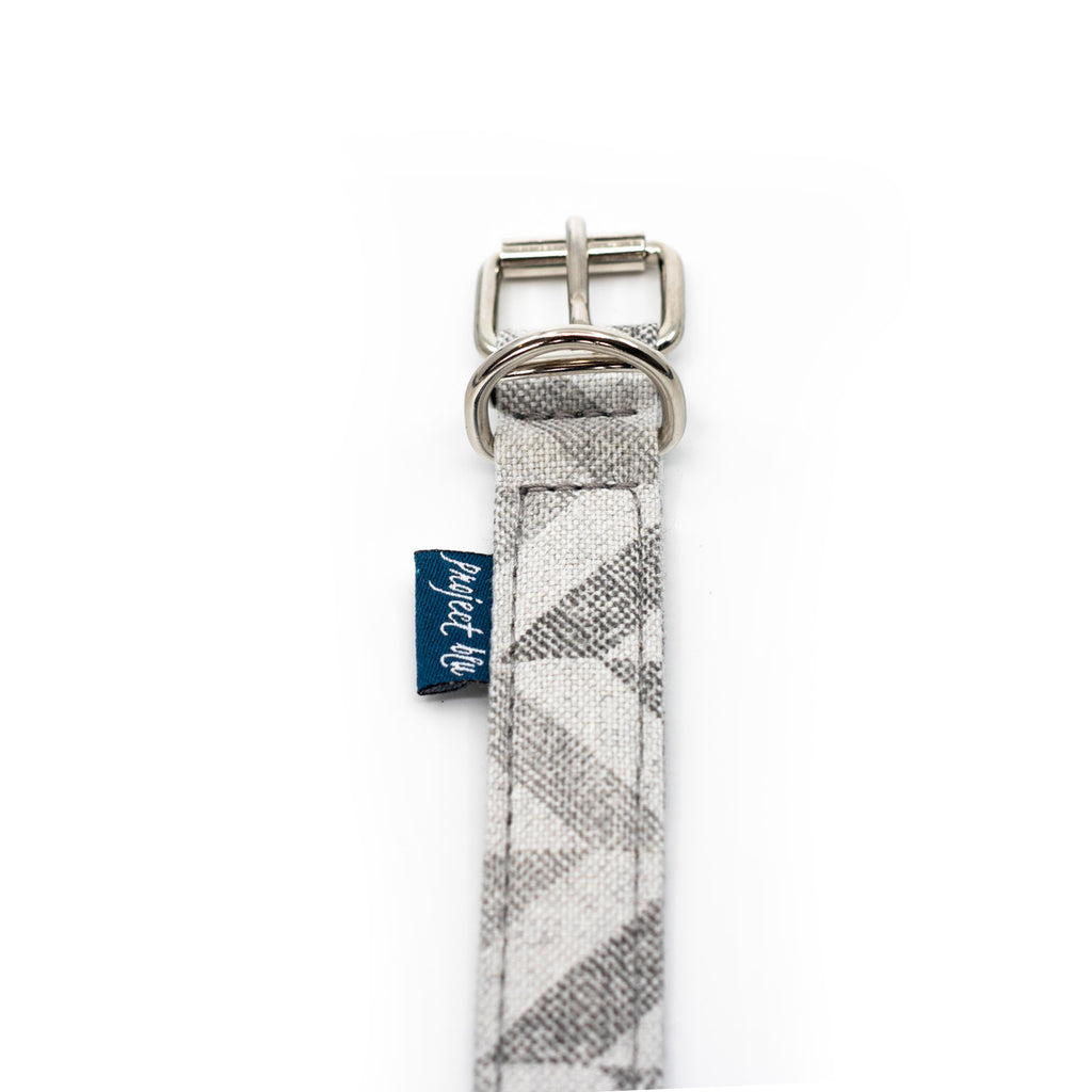 Project Blu, Eco Dog Collar, Goa.