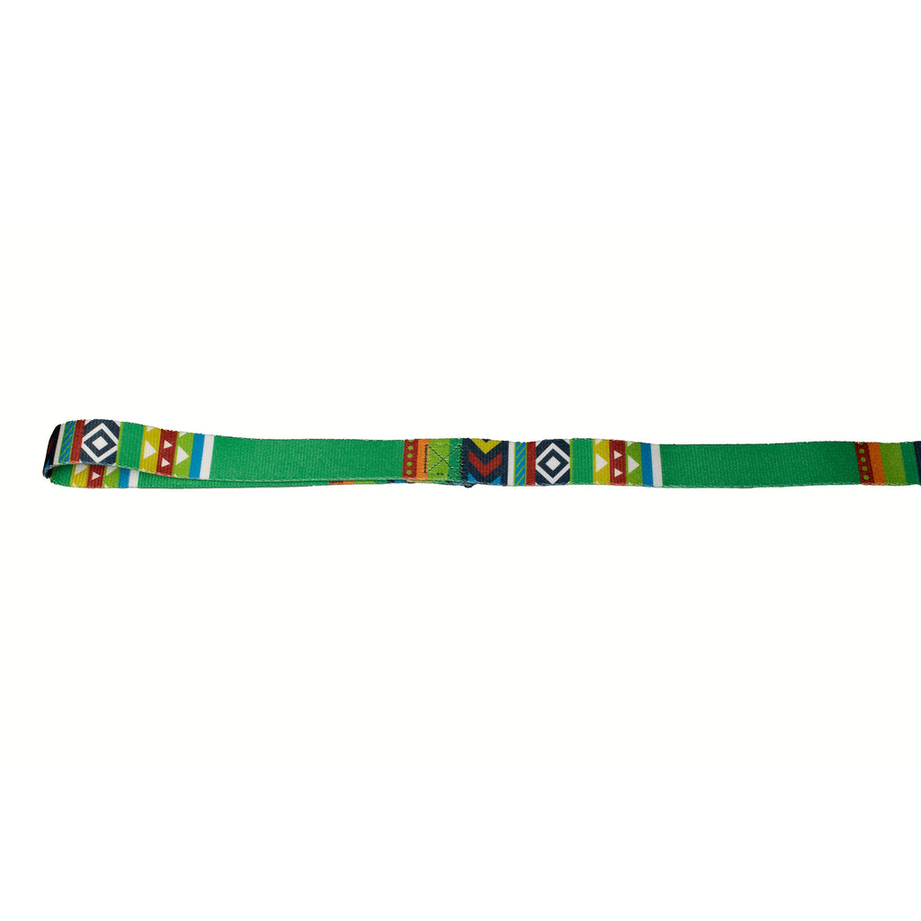 green geometric print dog lead