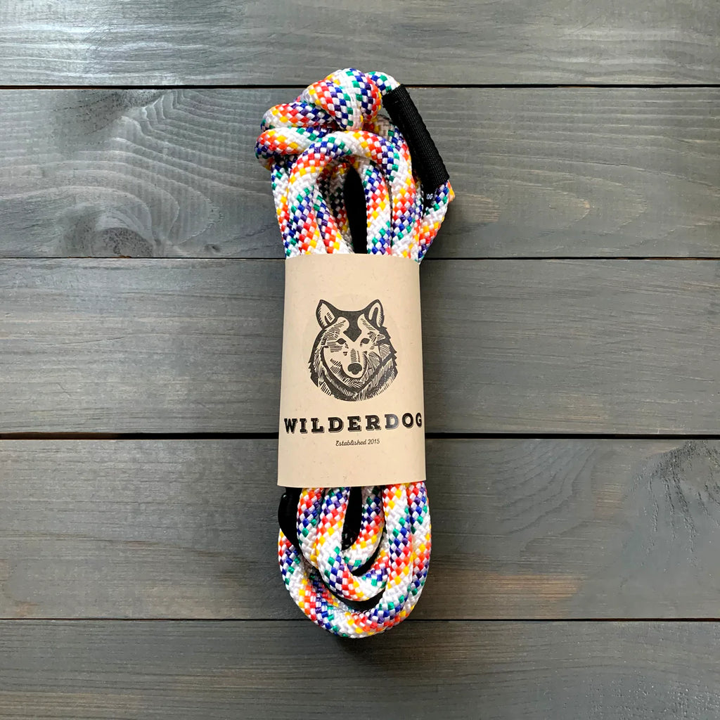 rainbow dog lead