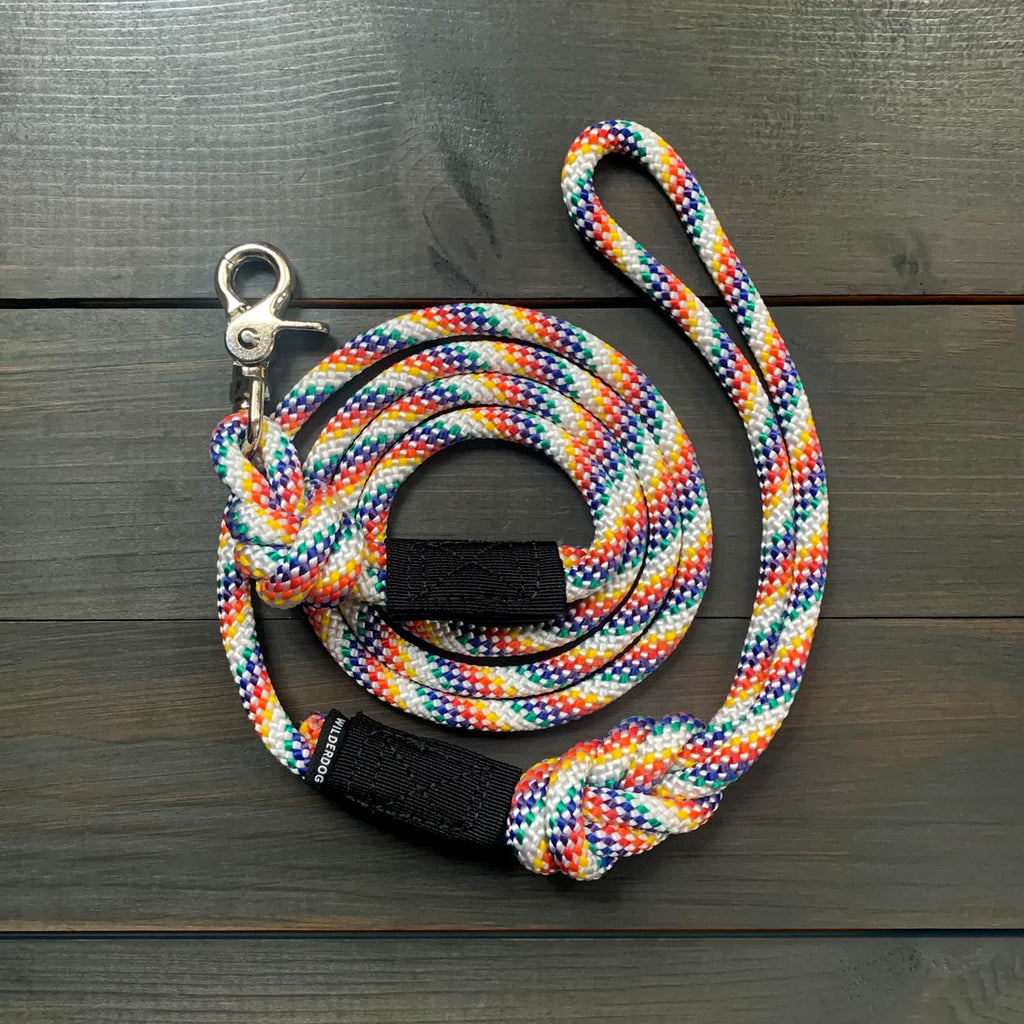 rainbow dog lead