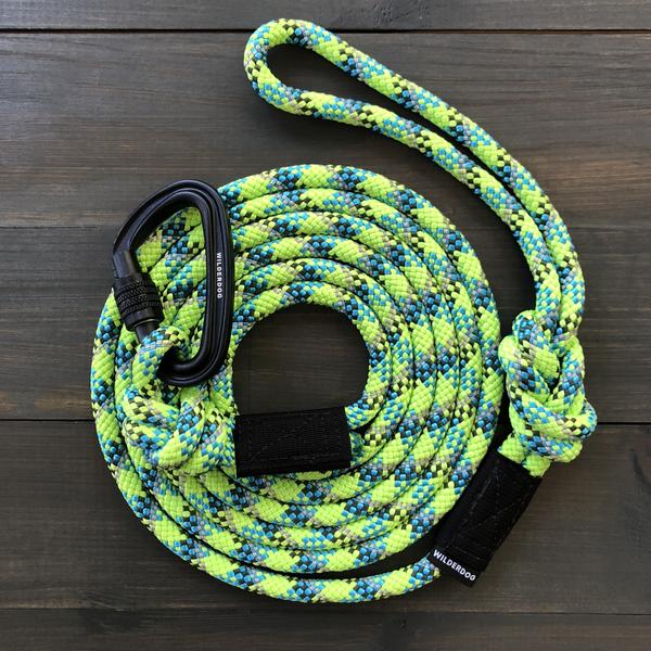 lime dog lead