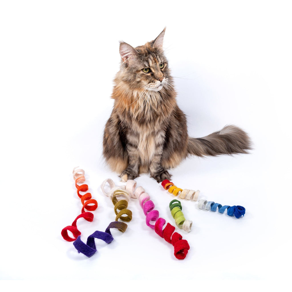 maine coon with cat toys