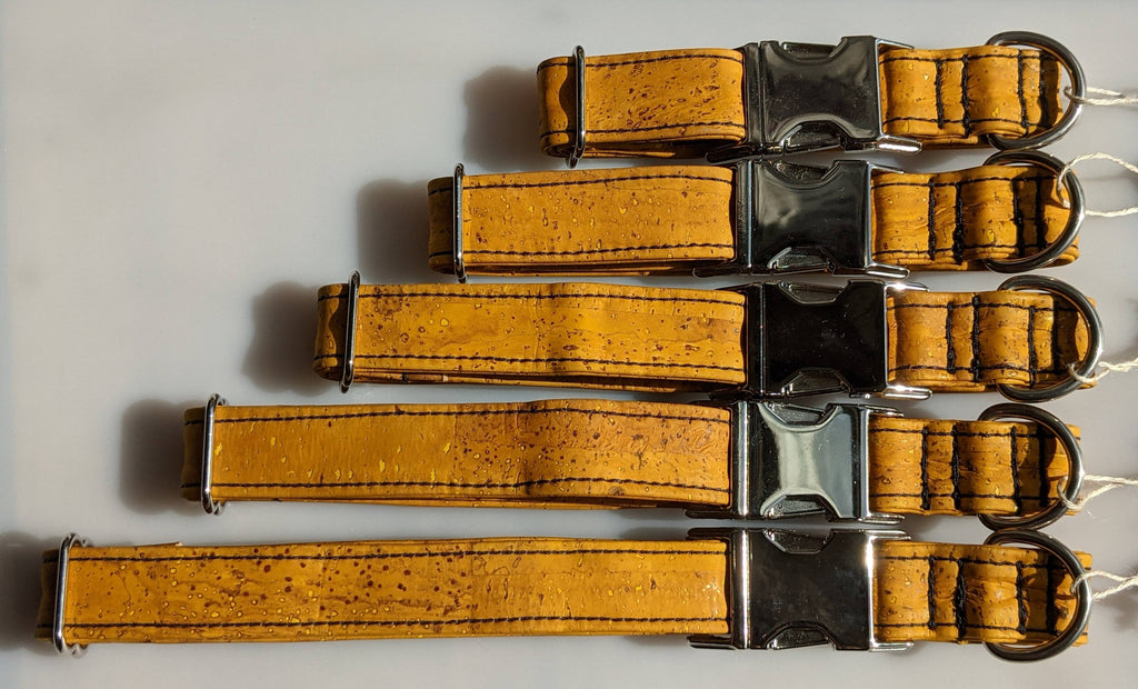 tumeric cork dog collar