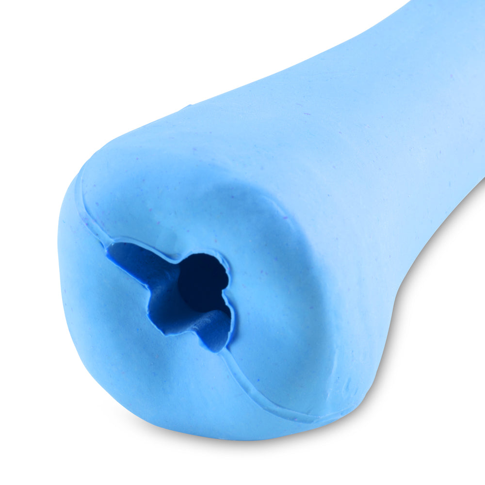 blue rubber bone