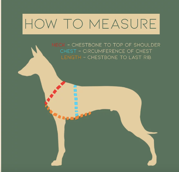 where to measure harness