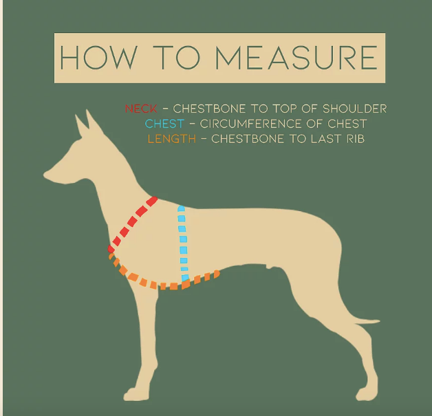 how to measure harness