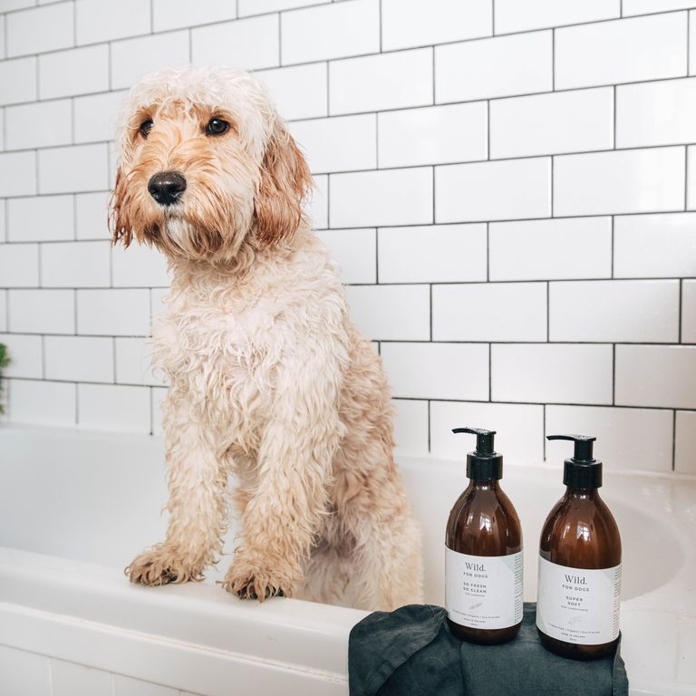 Dog Conditioner, Eco-Friendly, Wild For Dogs. 150m. Dog in Bath