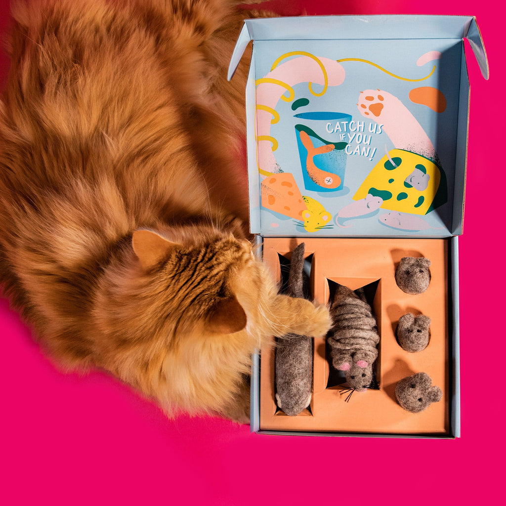 felt cat toy selection