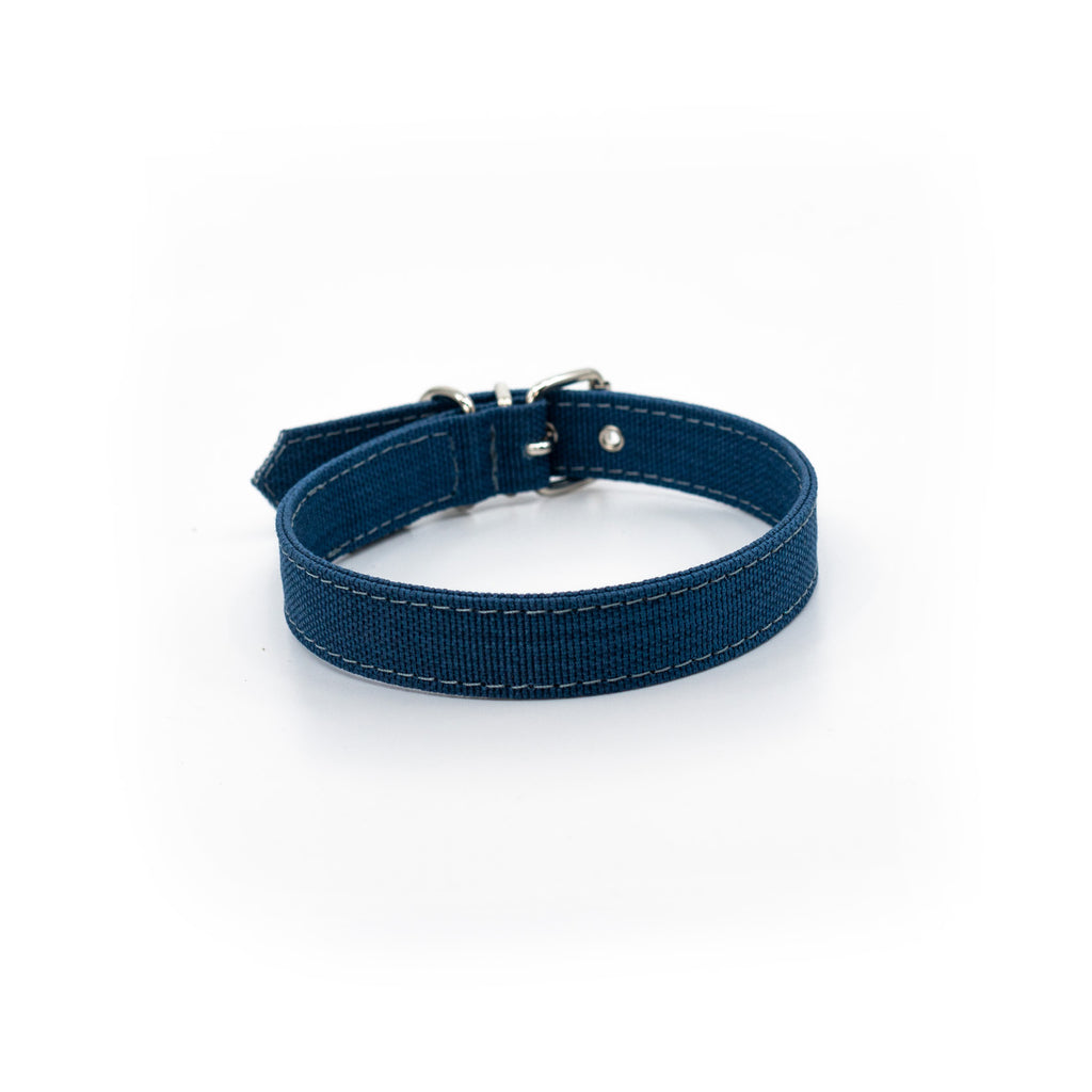 Project Blu, Eco Dog Collar, Zambizi, Royal Blue
