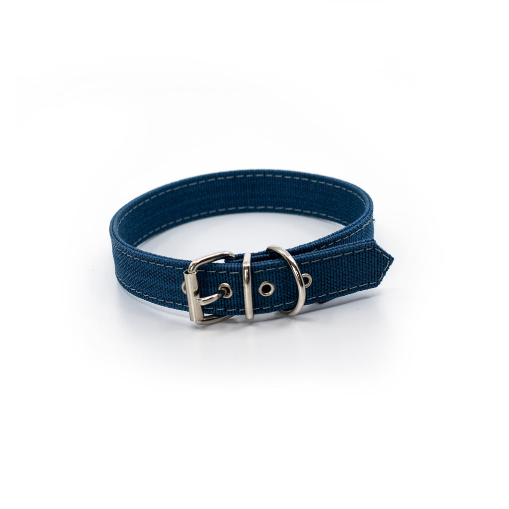 Project Blu, Eco Dog Collar, Zambizi, Royal Blue
