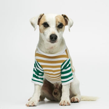 organic cotton doggy tshirt