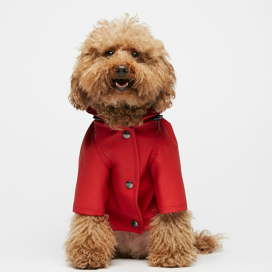 red raincoat for dogs