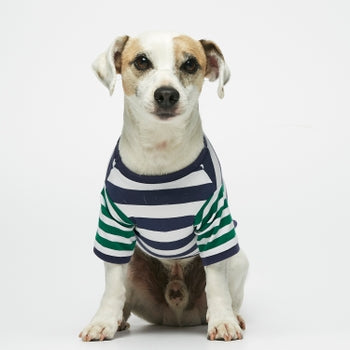 organic cotton doggy tshirt