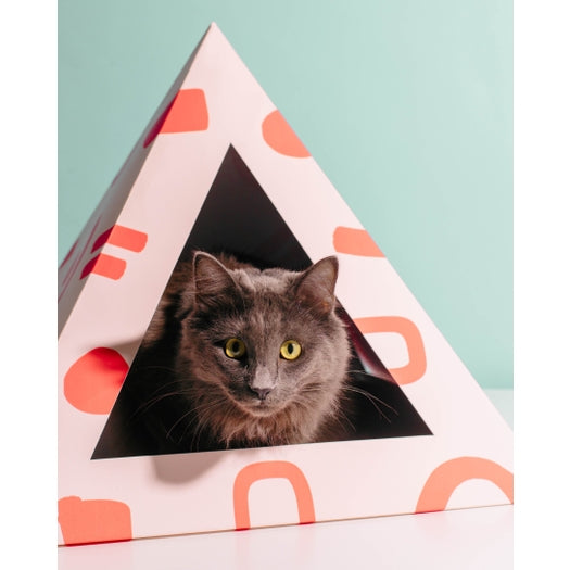 cardboard cat pyramid