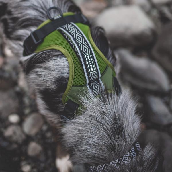 durable olive dog harness, wilderdog