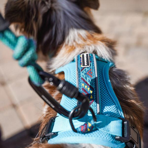 durable teal dog harness, wilderdog