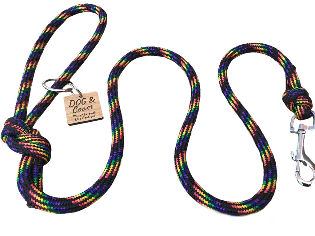 rainbow dog collar