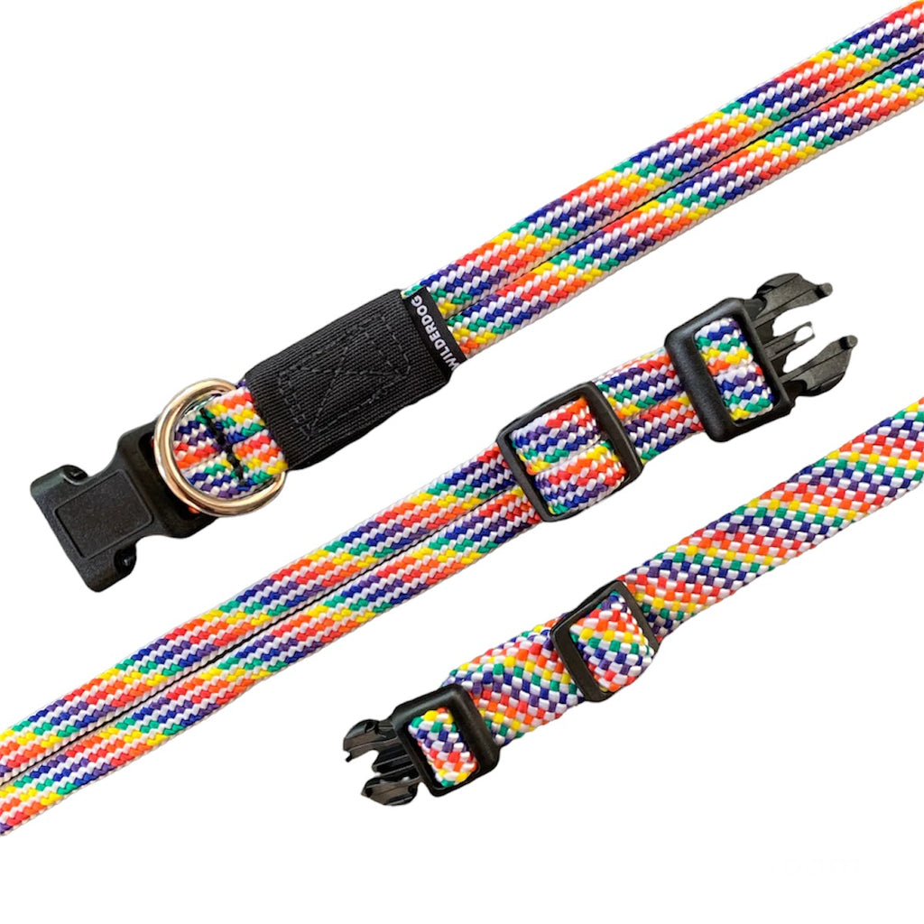rainbow dog collar 
