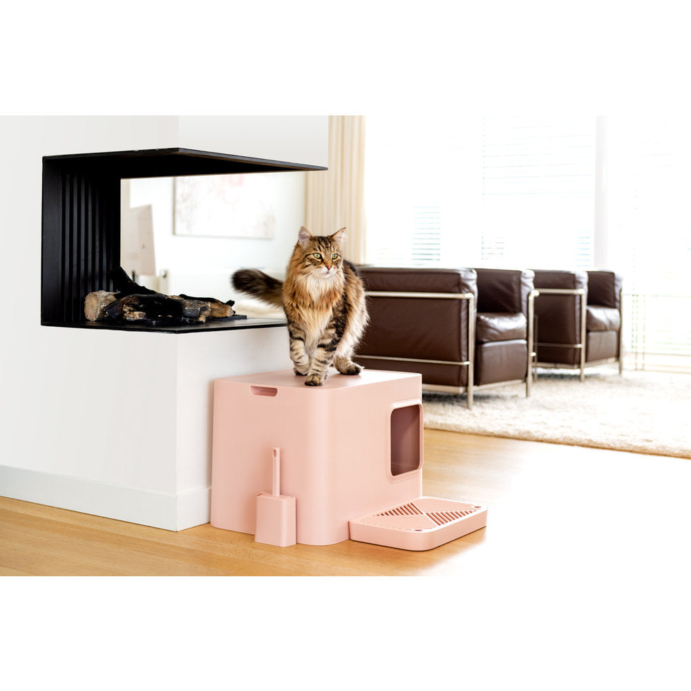 cat on top of litter box in pink