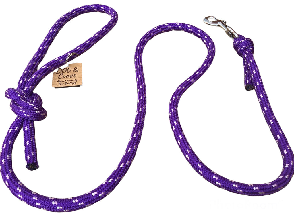 purple dog lead 