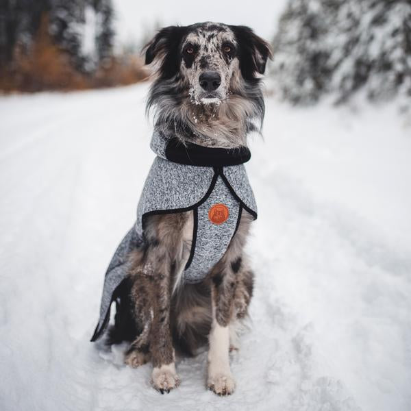 dog in grey Wilderdog fleece