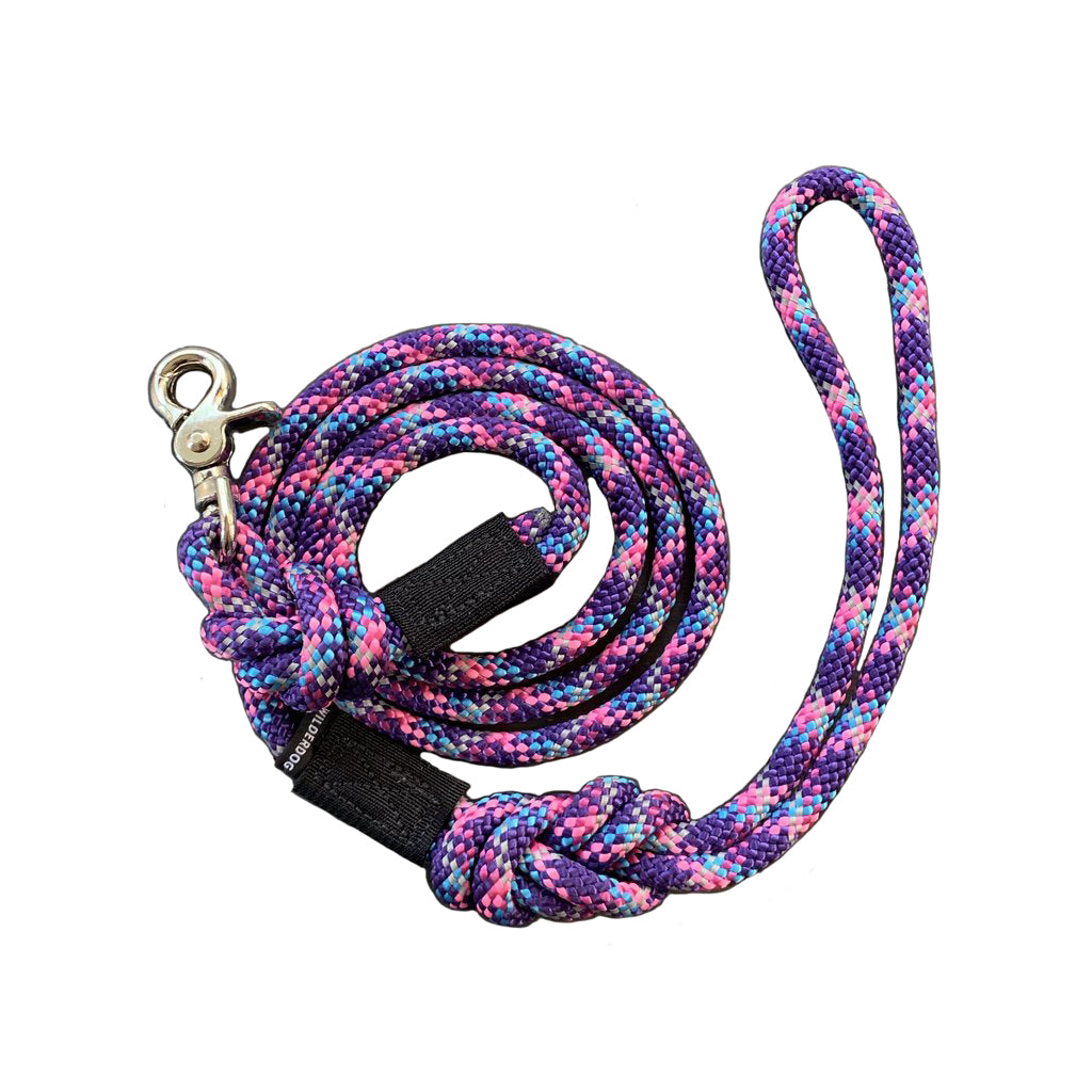 climbing rope dog lead with quick clip
