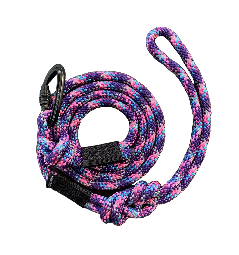 climbing rope dog lead with carabiner clip