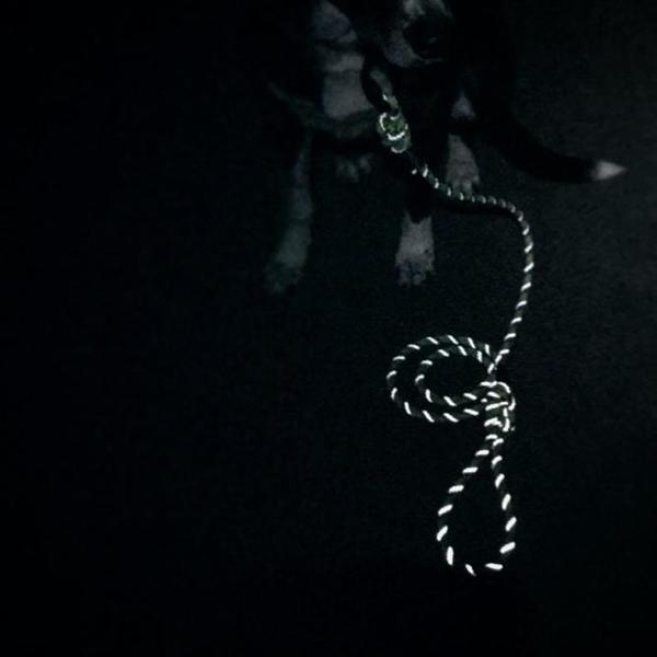 durable reflective lime dog lead, wilderdog