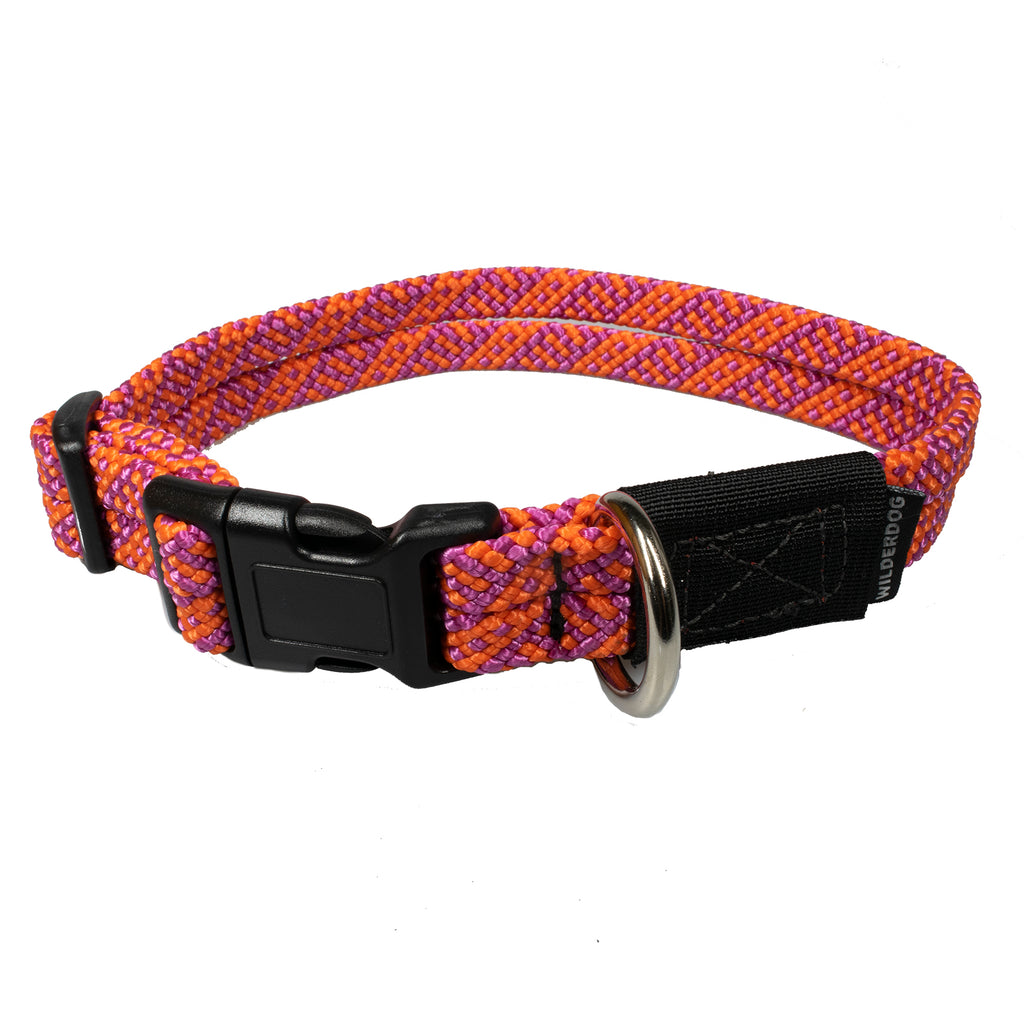 Sierra dog collar made from climbing rope by Wilderdog,