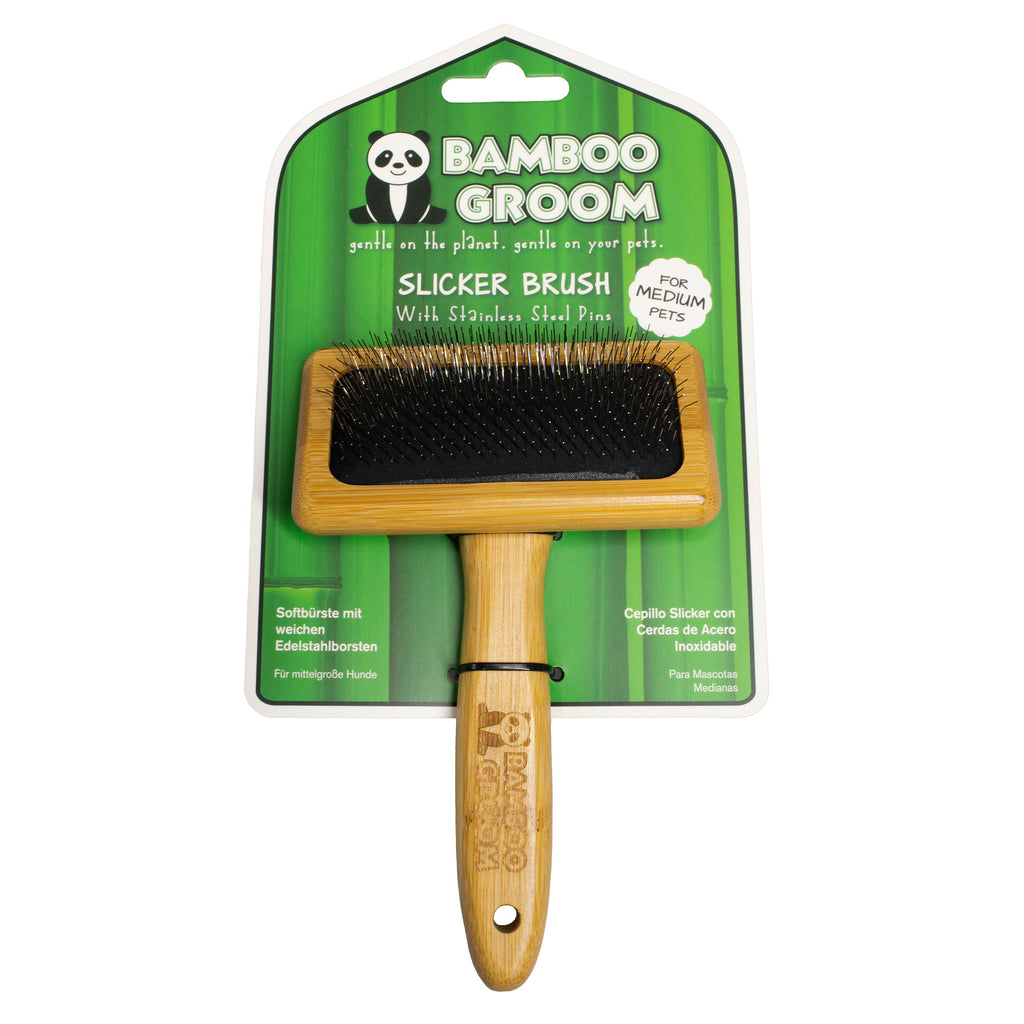 bamboo brush