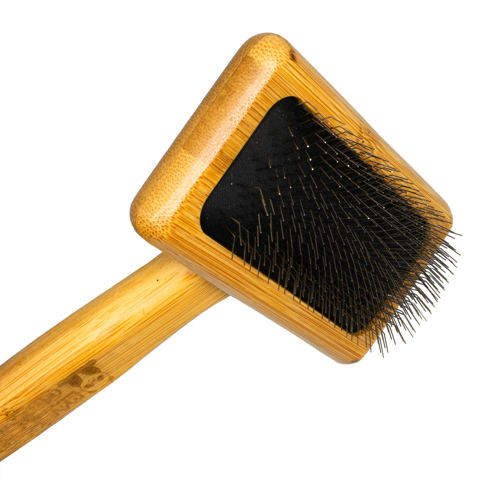 bamboo brush