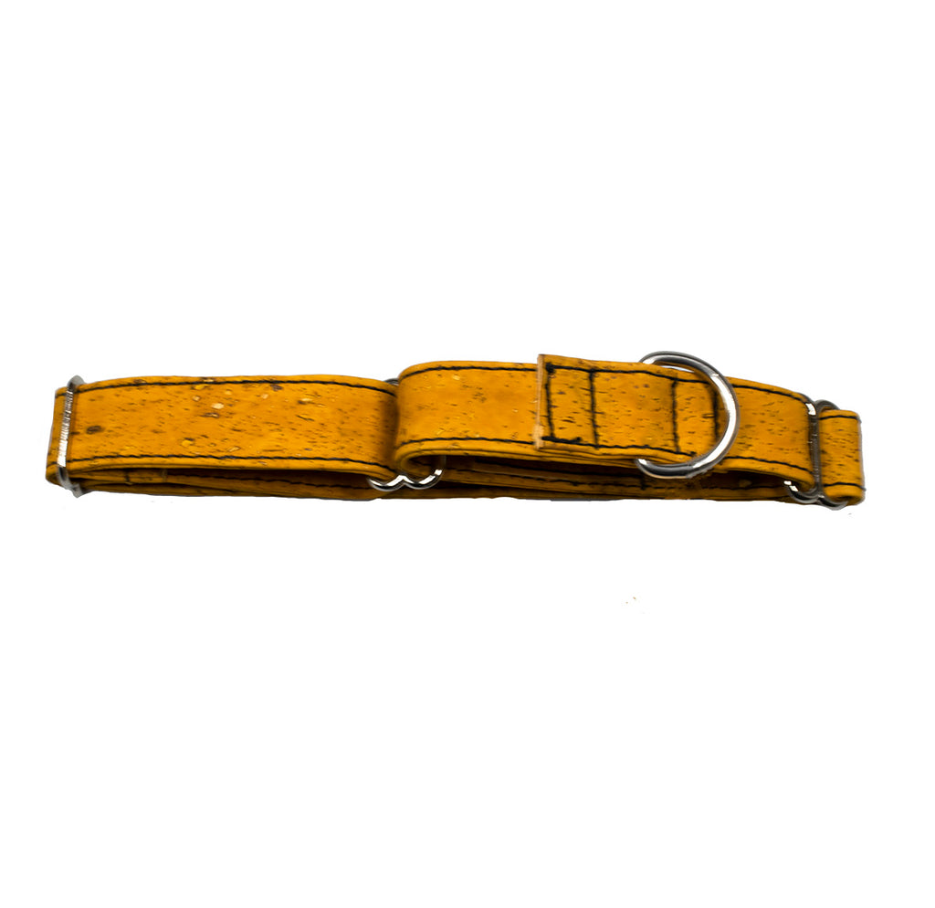 martingale dog collar